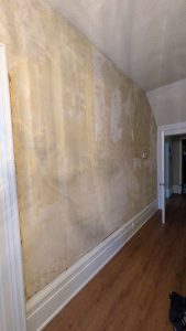 Residual wallpaper paste on plaster walls after wallpaper removal